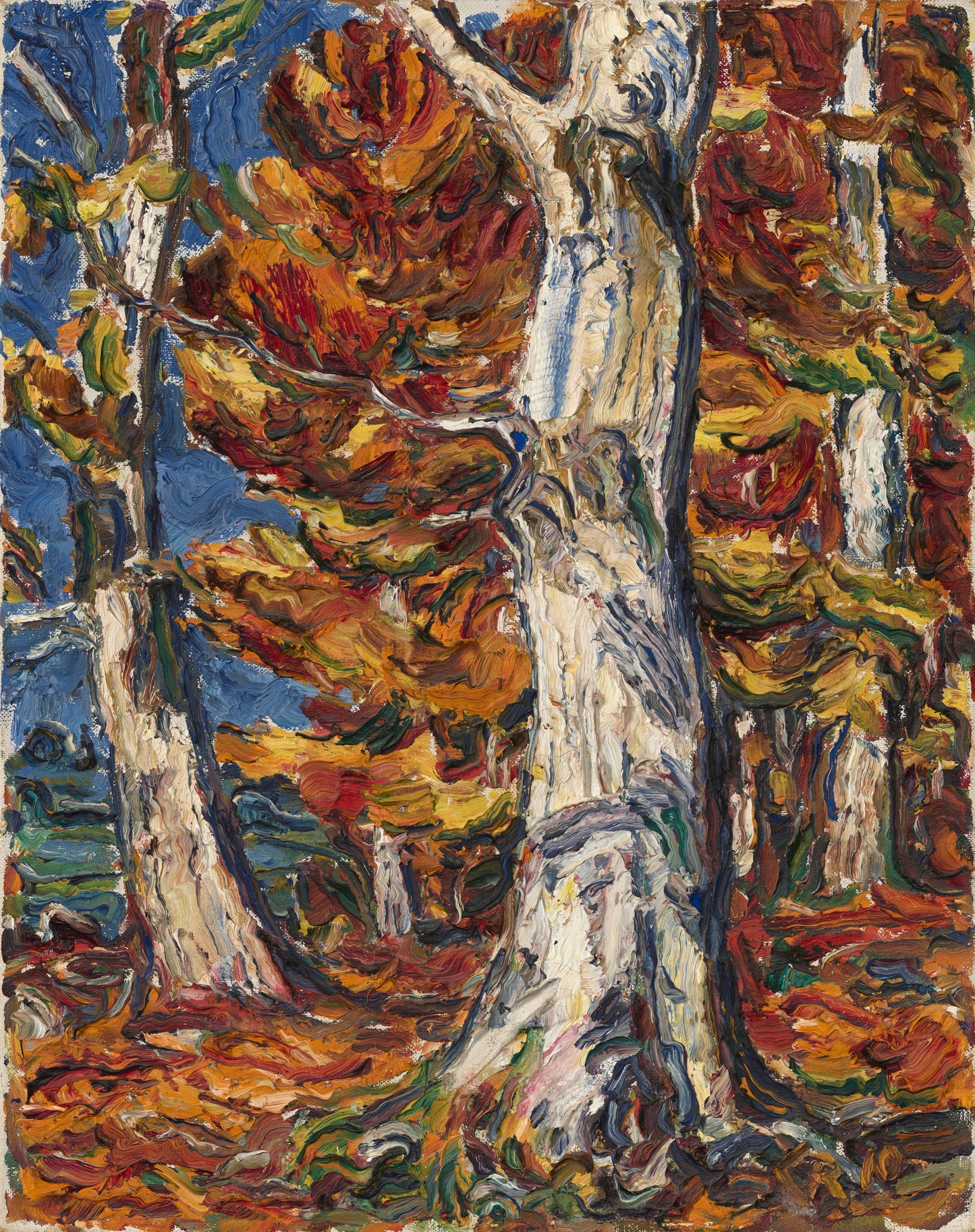 Beeches Giclée Art Print