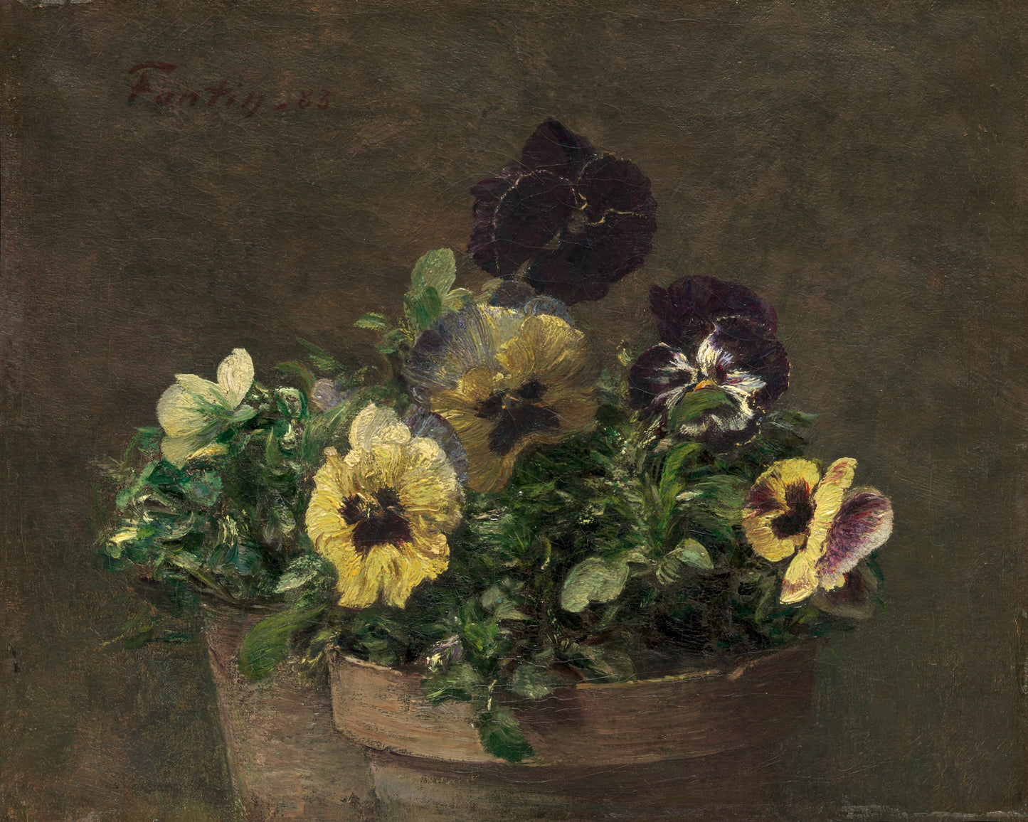 Pansie No.1 Giclée Art Print