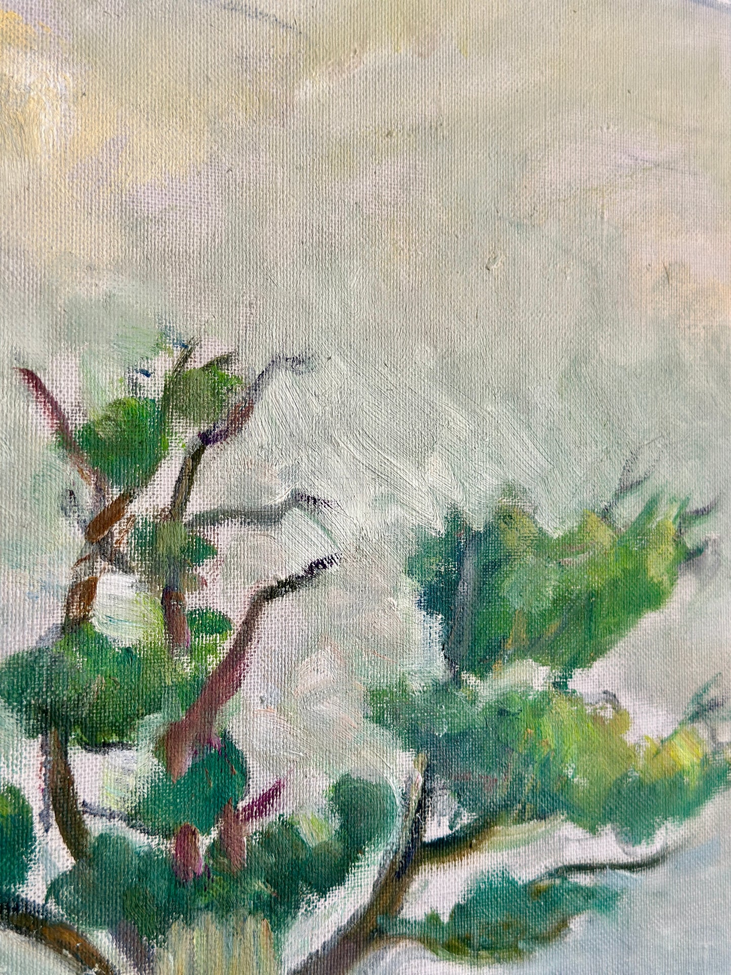Ancient Tree Landscape | Original Oil on Canvas