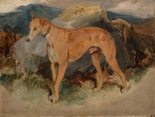 Deerhound Giclée Art Print