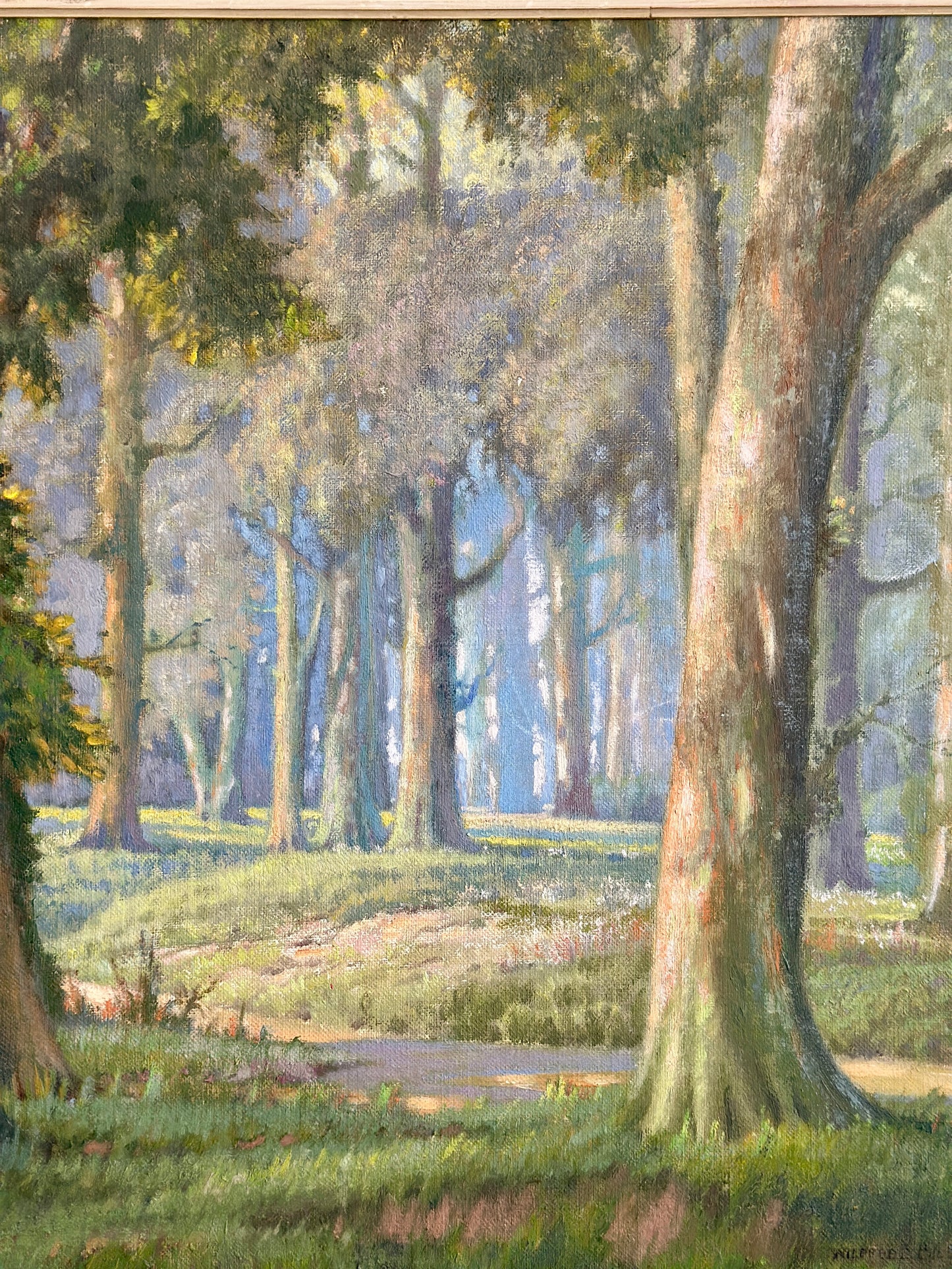 Woodland Serenity | Oil On Board Painting