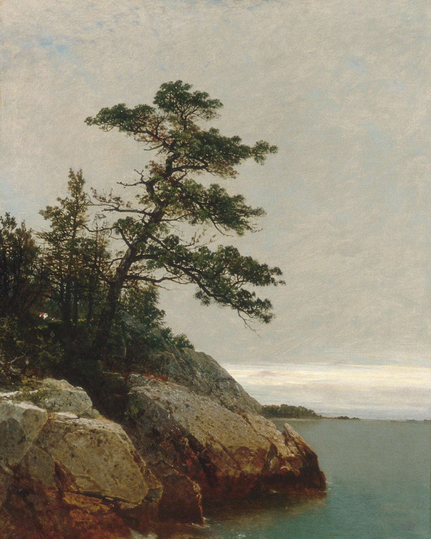 Old Pine Giclée Art Print