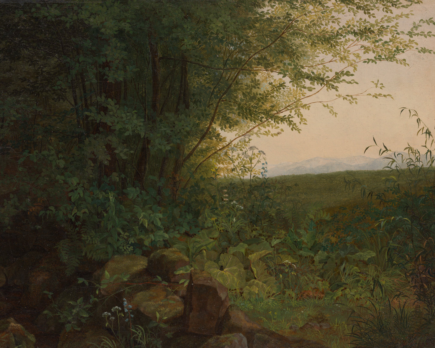 Landscape painting of a forest with rocks and a distant view
