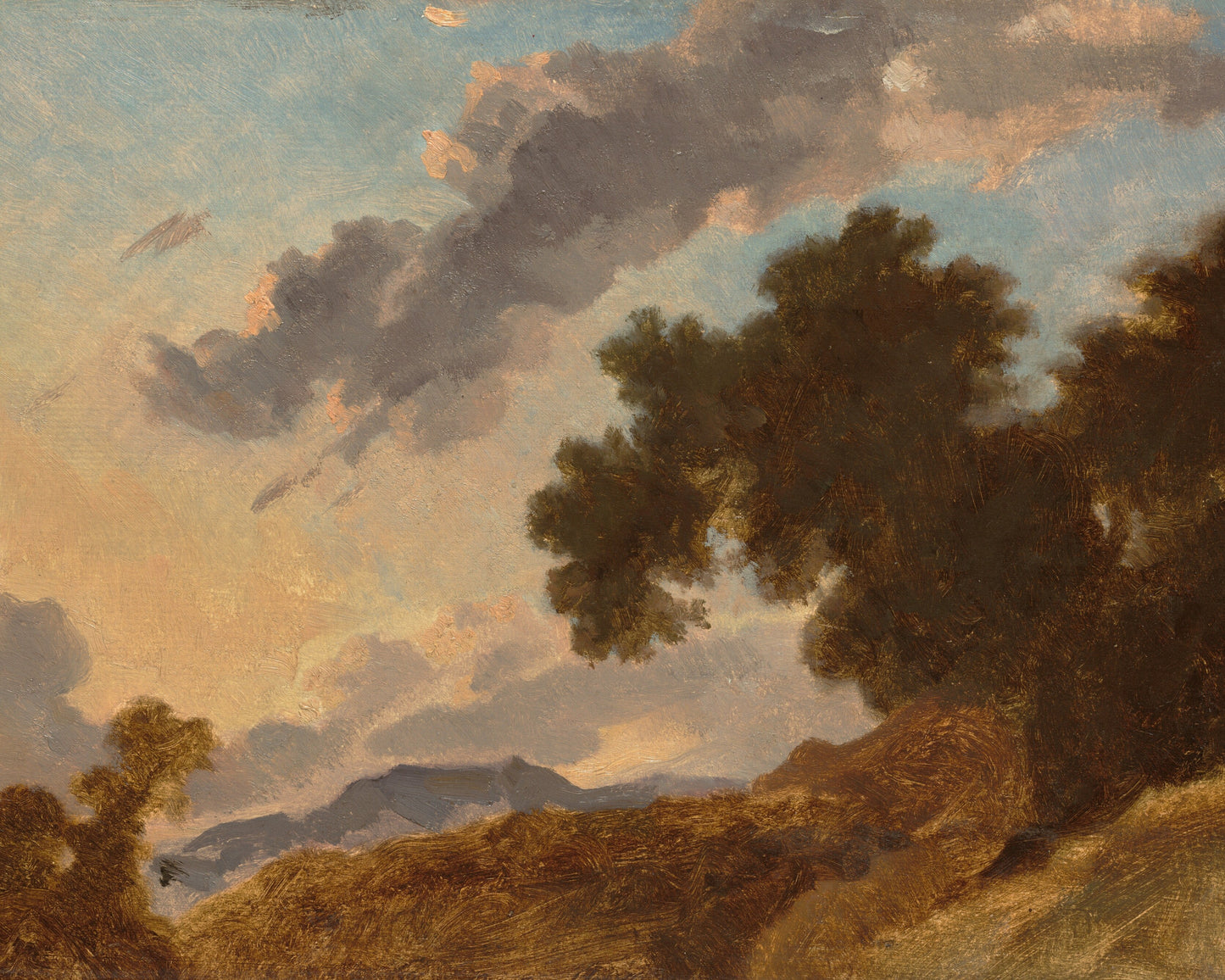 Landscape with trees and clouds in a painting style