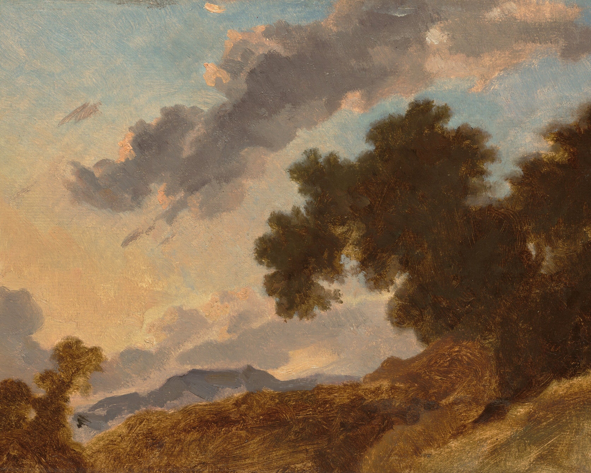 Landscape with trees and clouds in a painting style